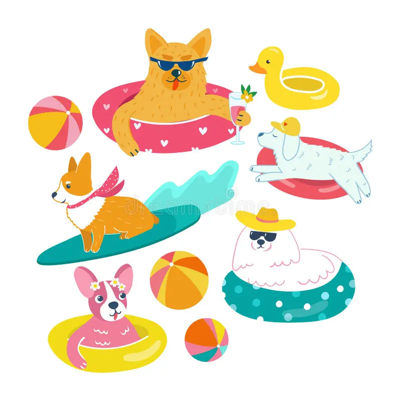 PET CORNER