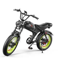 C93- Dual-drive Electric Bike