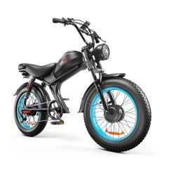 C93- Dual-drive Electric Bike