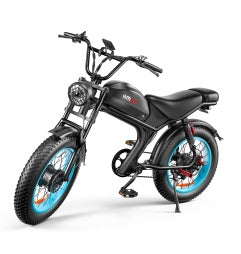 C93- Dual-drive Electric Bike