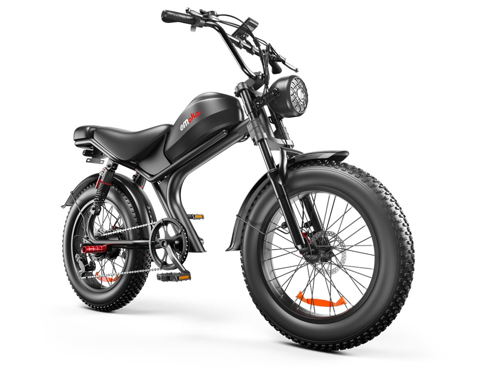 C93- Dual-drive Electric Bike