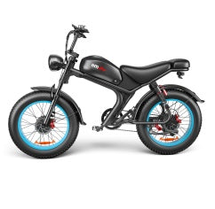 C93- Dual-drive Electric Bike