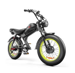 C93- Dual-drive Electric Bike