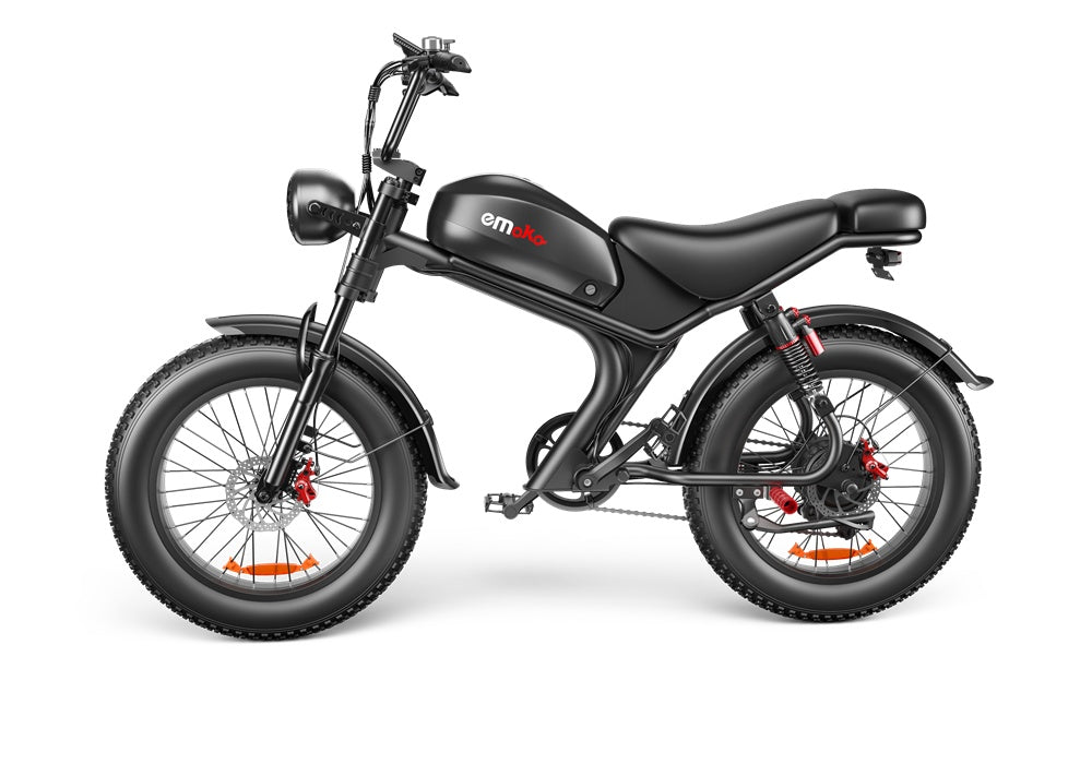 C93- Dual-drive Electric Bike