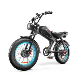 C93- Dual-drive Electric Bike
